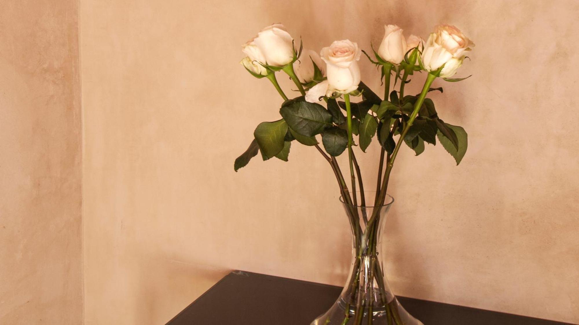 Rosas & Xocolate Boutique Hotel And Spa Merida, A Member Of Design Hotels מראה חיצוני תמונה
